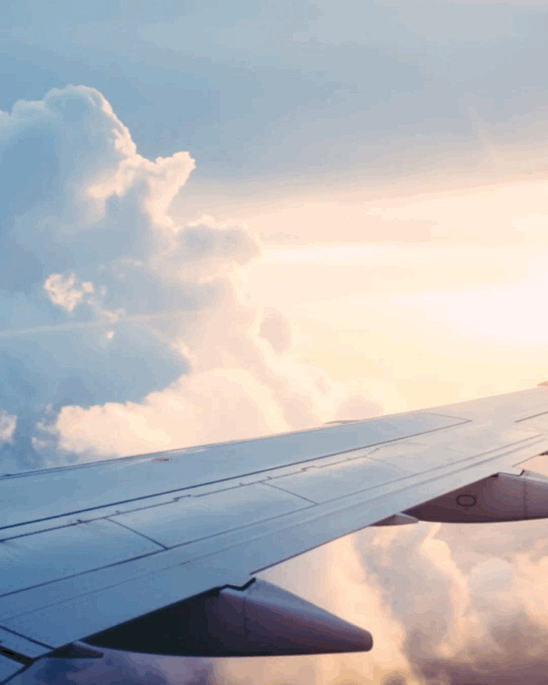 The Complete Survival Guide for Long-Haul Flights, Thisthingcalledfashion