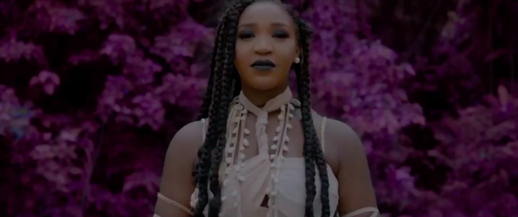 Nneka the Pretty Serpent