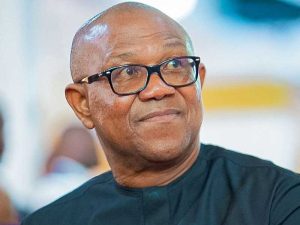 Former Governor of Anambra State, Peter Obi