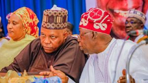 Vice President Kashim Shettima and President Bola Tinubu