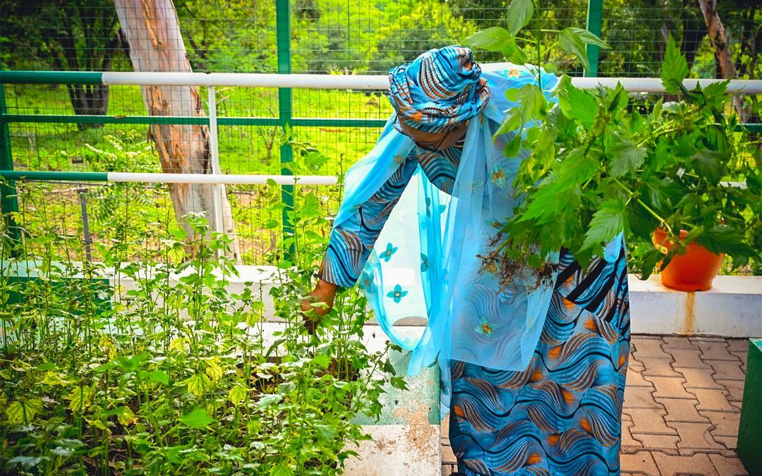 Photos: First Lady Remi Tinubu Turns Farmer, Harvests Vegetables